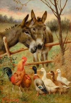 unknow artist Cocks and horses109 Germany oil painting art